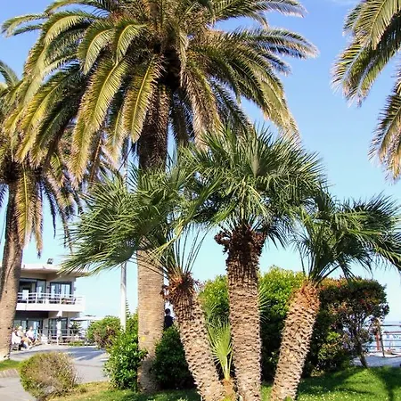 Zenzero * ロアーノ