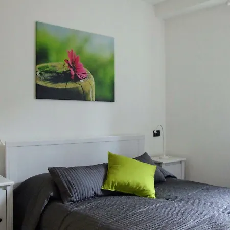 Zenzero ロアーノ